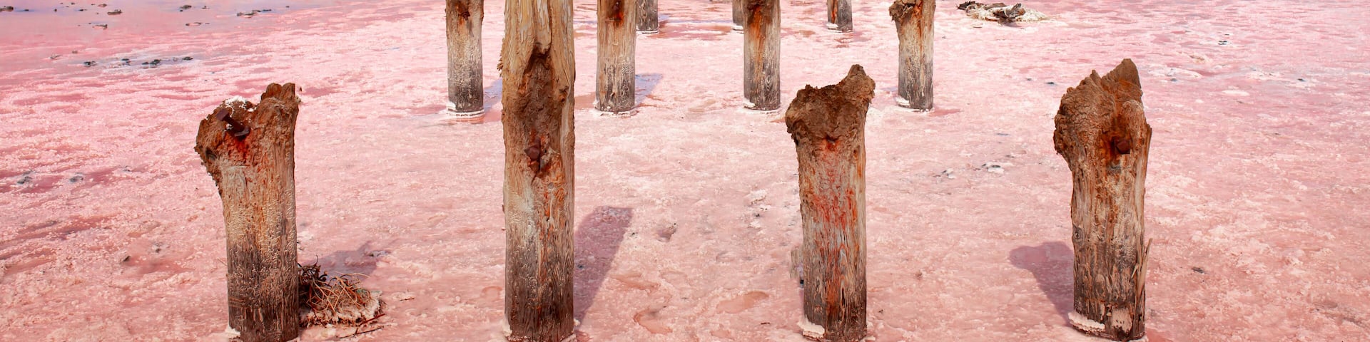 The pink lake is a beautiful landscape, unusual nature. A unique rare natural phenomenon. Salt lake with pink algae. Beautiful landscape.