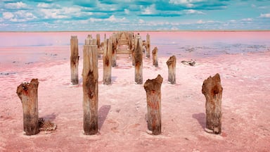 The pink lake is a beautiful landscape, unusual nature. A unique rare natural phenomenon. Salt lake with pink algae. Beautiful landscape.