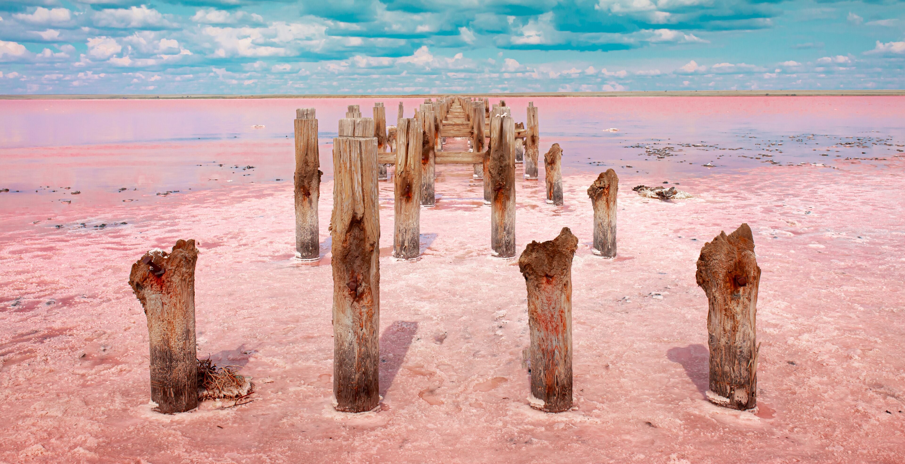 A wooden structure in a pink salt flat with a clear sky.