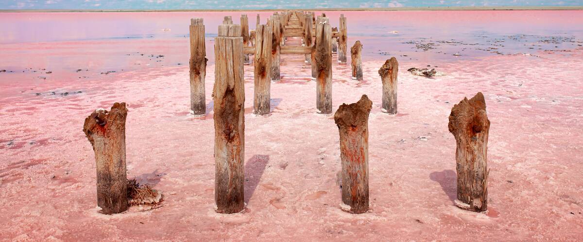A wooden structure in a pink salt flat with a clear sky.