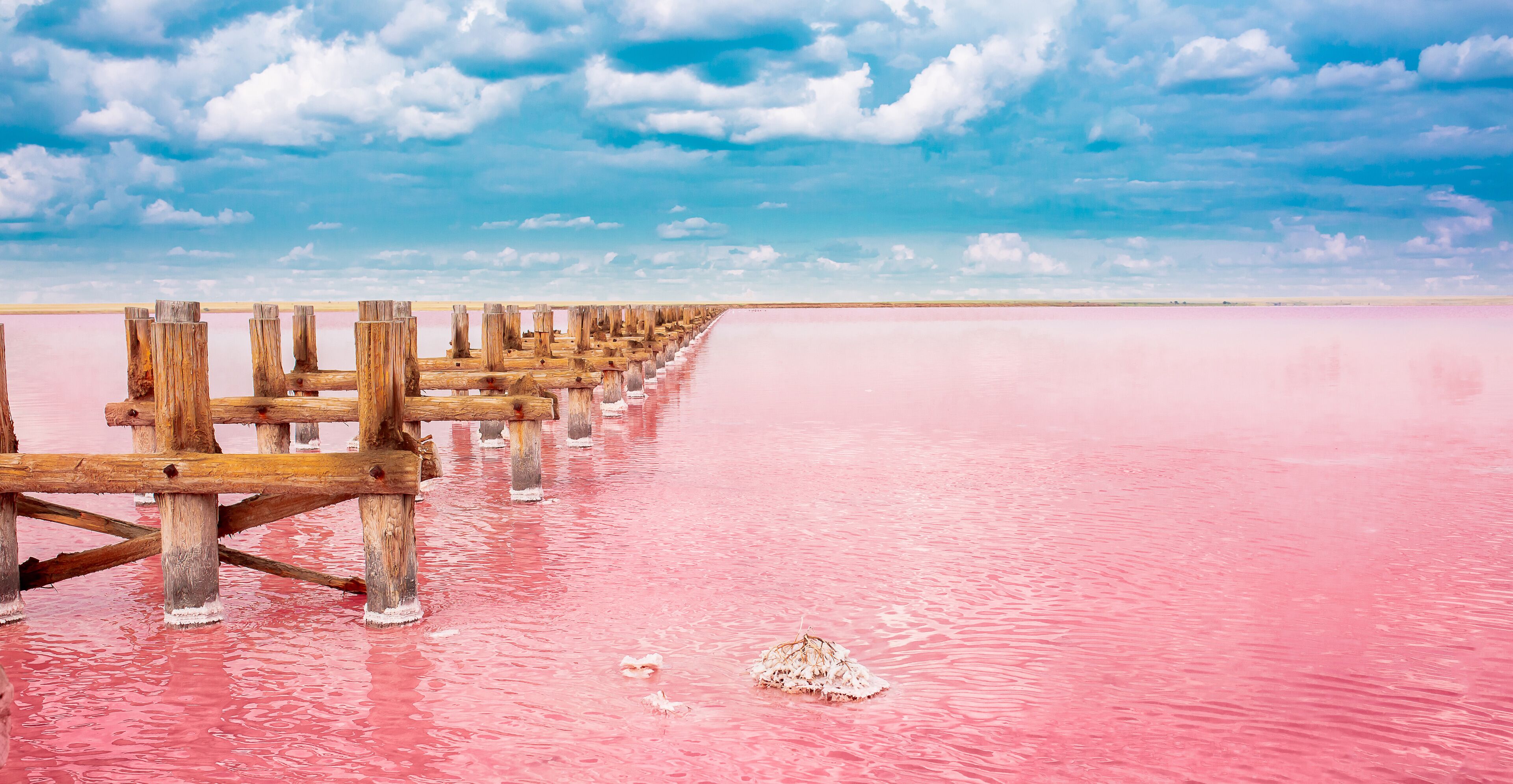 The pink lake is a beautiful landscape, unusual nature. A unique rare natural phenomenon. Salt lake with pink algae. Beautiful landscape.