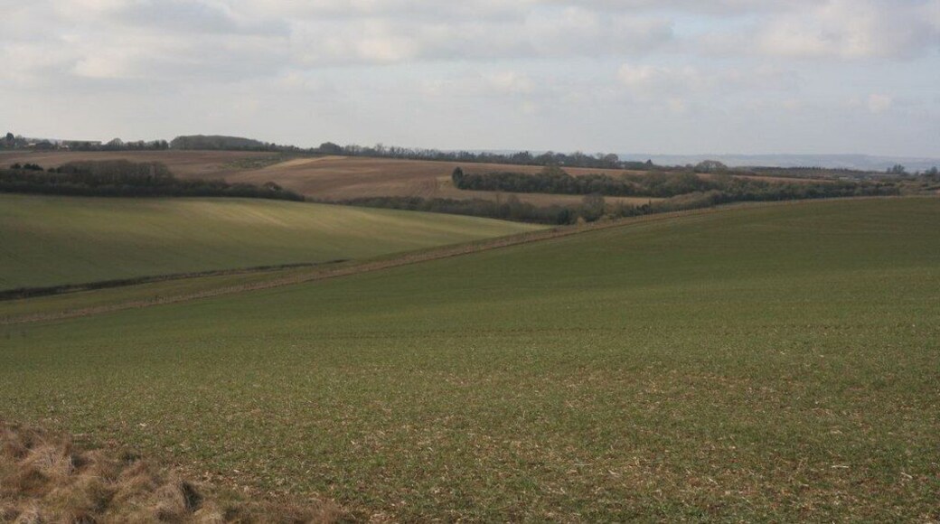 Side of Hunting hill Looking down the valley from up the side of Hunting Hill