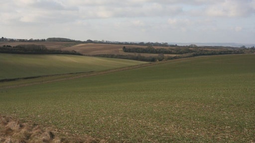 Side of Hunting hill Looking down the valley from up the side of Hunting Hill