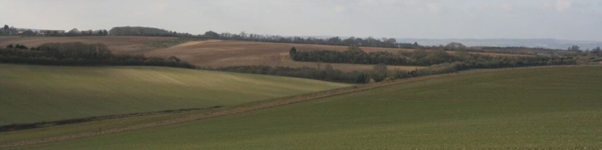 De vastes champs verdoyants, des arbres à l'horizon et un ciel nuageux.