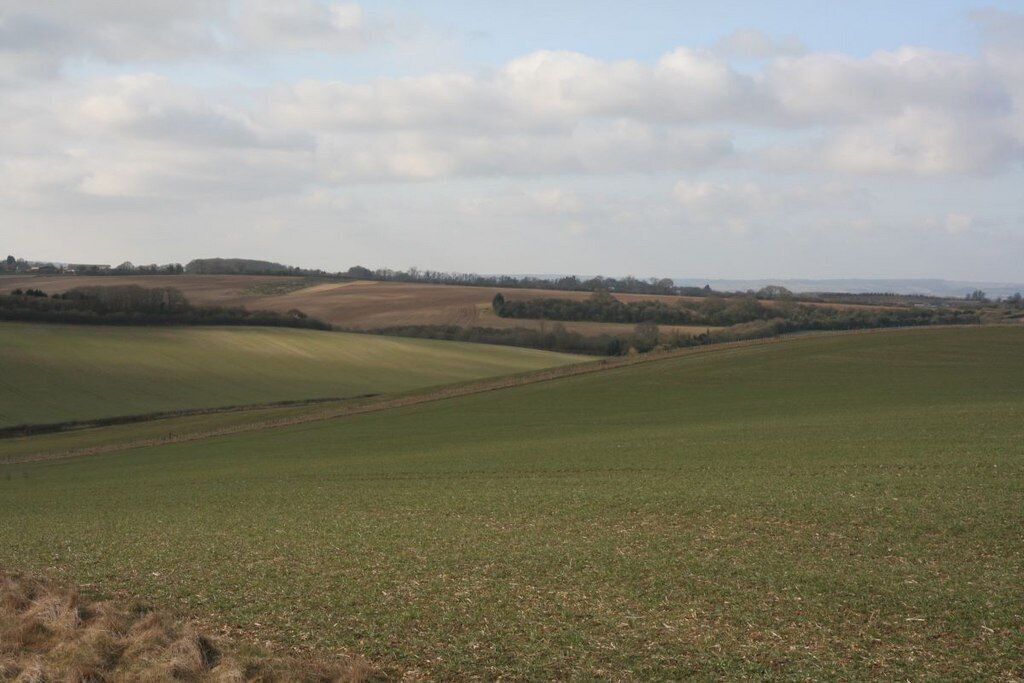 Rolling green fields, distant trees, and a cloudy sky.