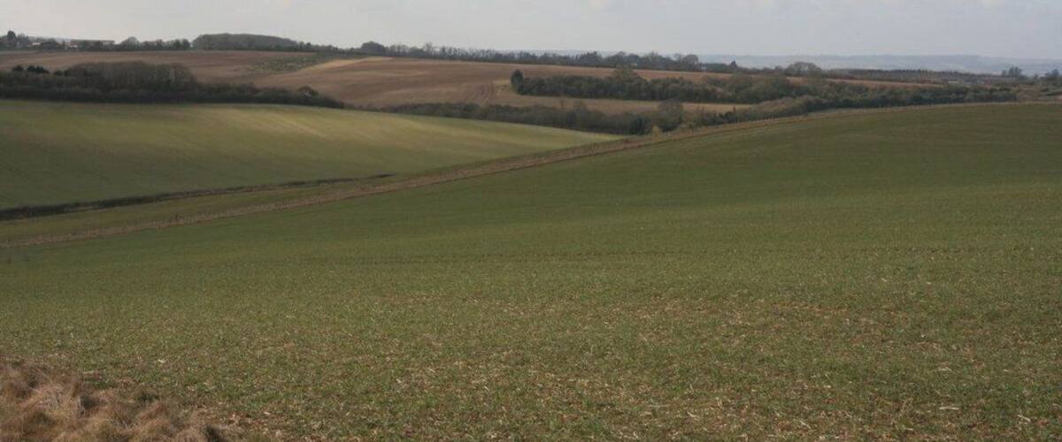 Rolling green fields, distant trees, and a cloudy sky.