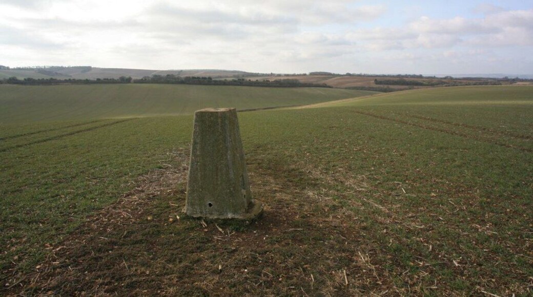 Triangulation pillar of the hill Think this makes number four for me and should form a second triangle with Brightwell Barrow and the Ridgeway one near Crowmarsh.