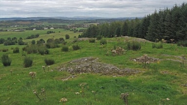 Castle Hill Marked on OS map as Hill Fort.