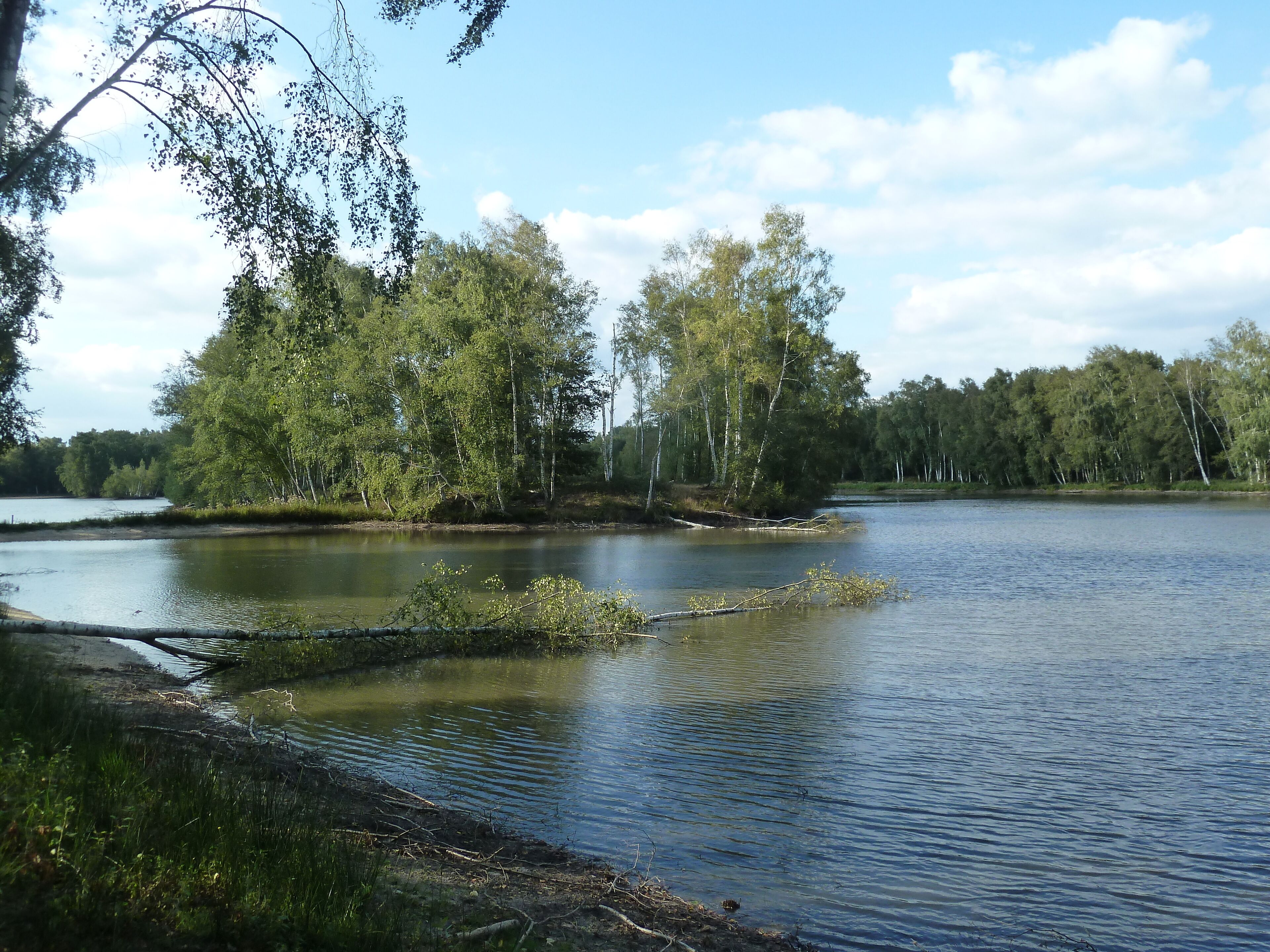 Sainte-Montaine département du Cher).- Région Centre-Val_de_Loire France