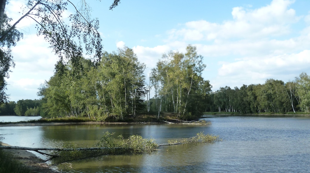 Sainte-Montaine département du Cher).- Région Centre-Val_de_Loire France