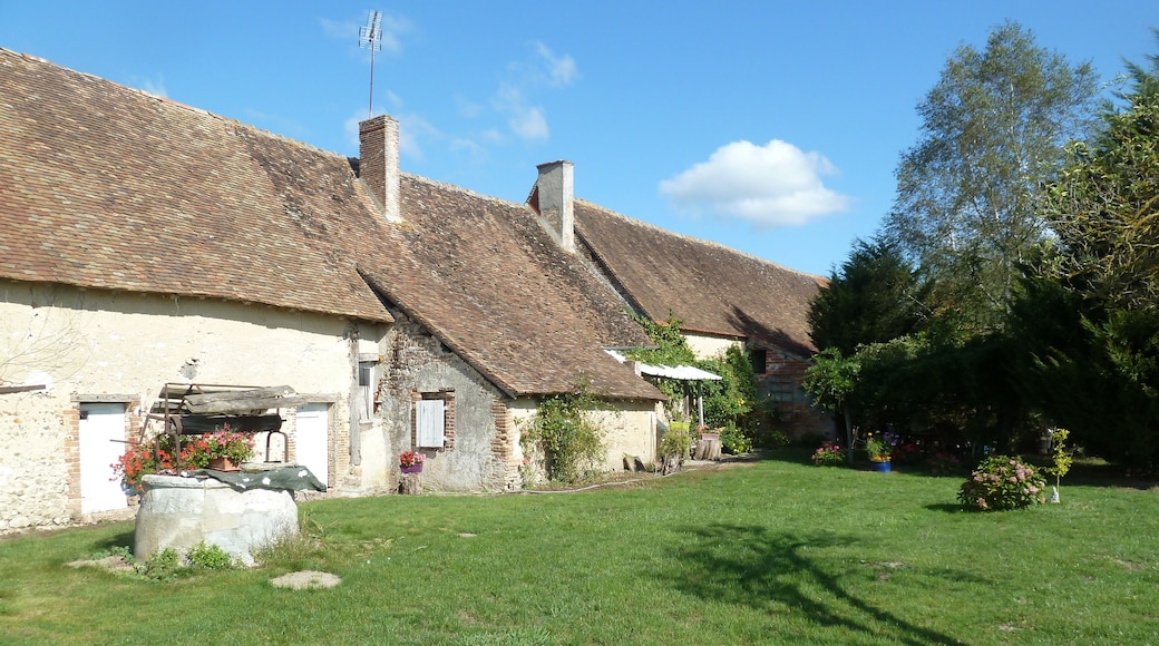 les bouirdins Sainte-Montaine département du Cher.- Région Centre-Val_de_Loire France