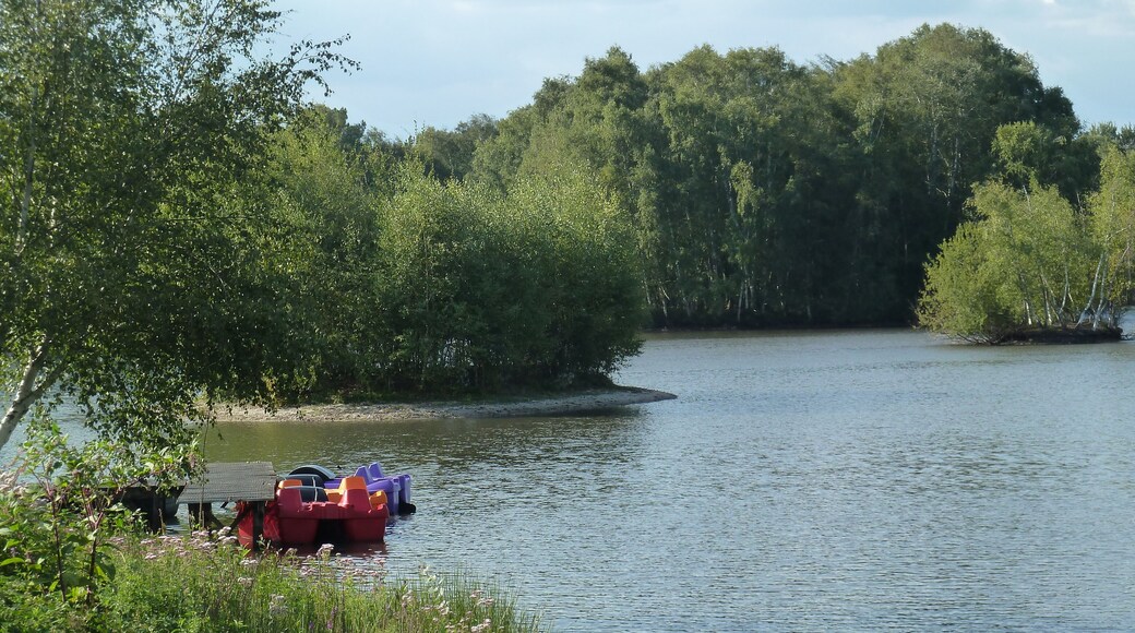 Sainte-Montaine département du Cher).- Région Centre-Val_de_Loire France