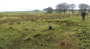 Roughcrook The remains of a nineteenth century settlement on the Mouse Water near Braehead