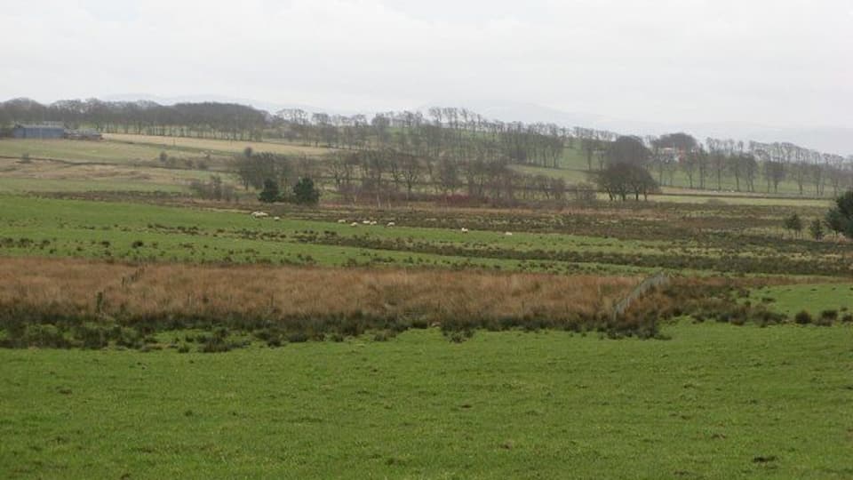 Wetland alongside the Through Burn Land used for sheep and cattle grazing, but poorly drained in the hollows. Browshott in the distance (left).