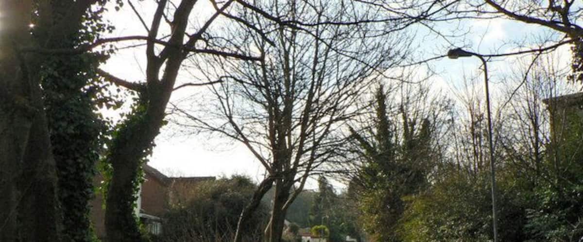Footpath to Brooklands Terrace, Culverhouse Cross, Cardiff