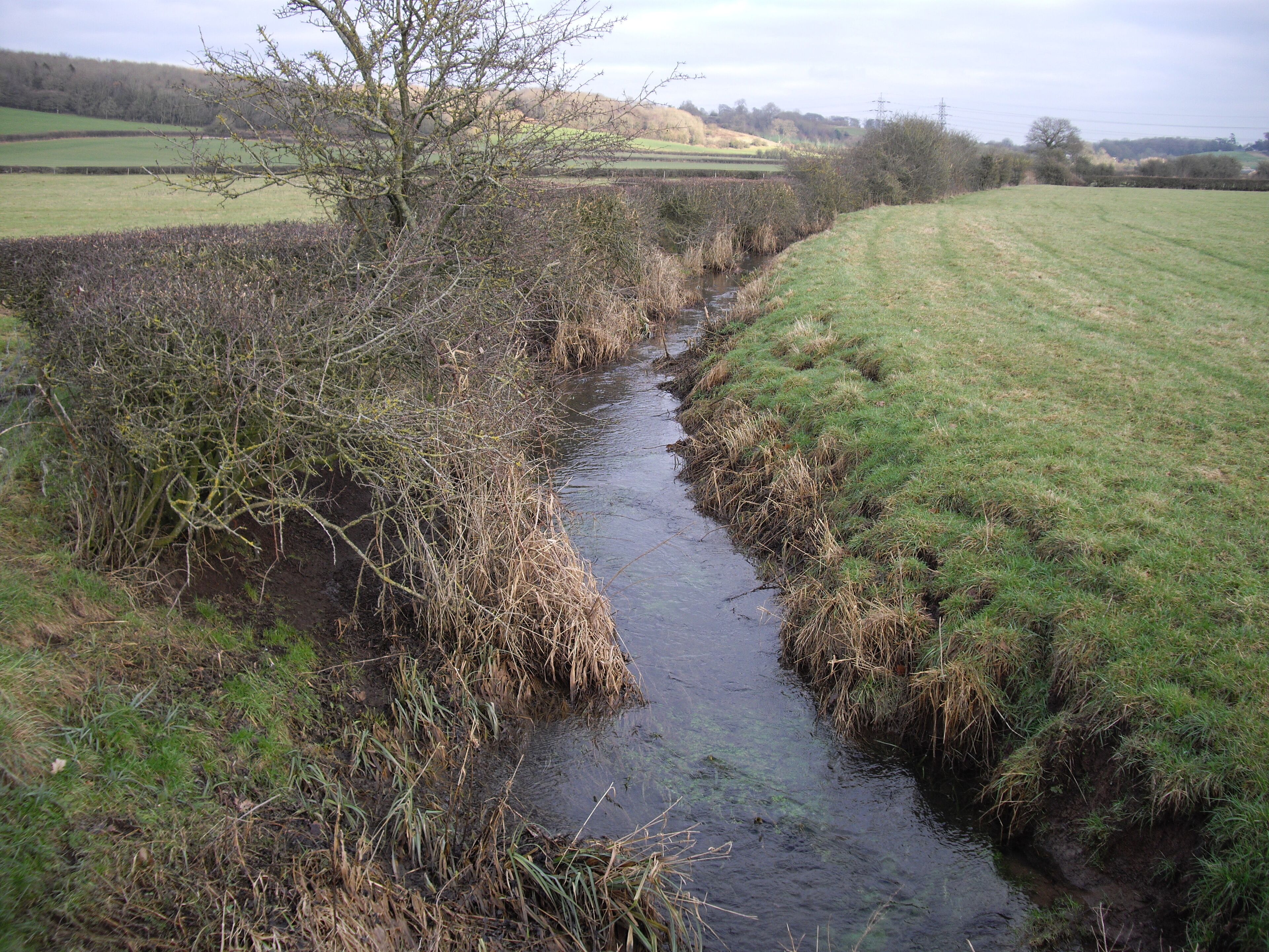Goldsland Brook, Vale of Glamorgan