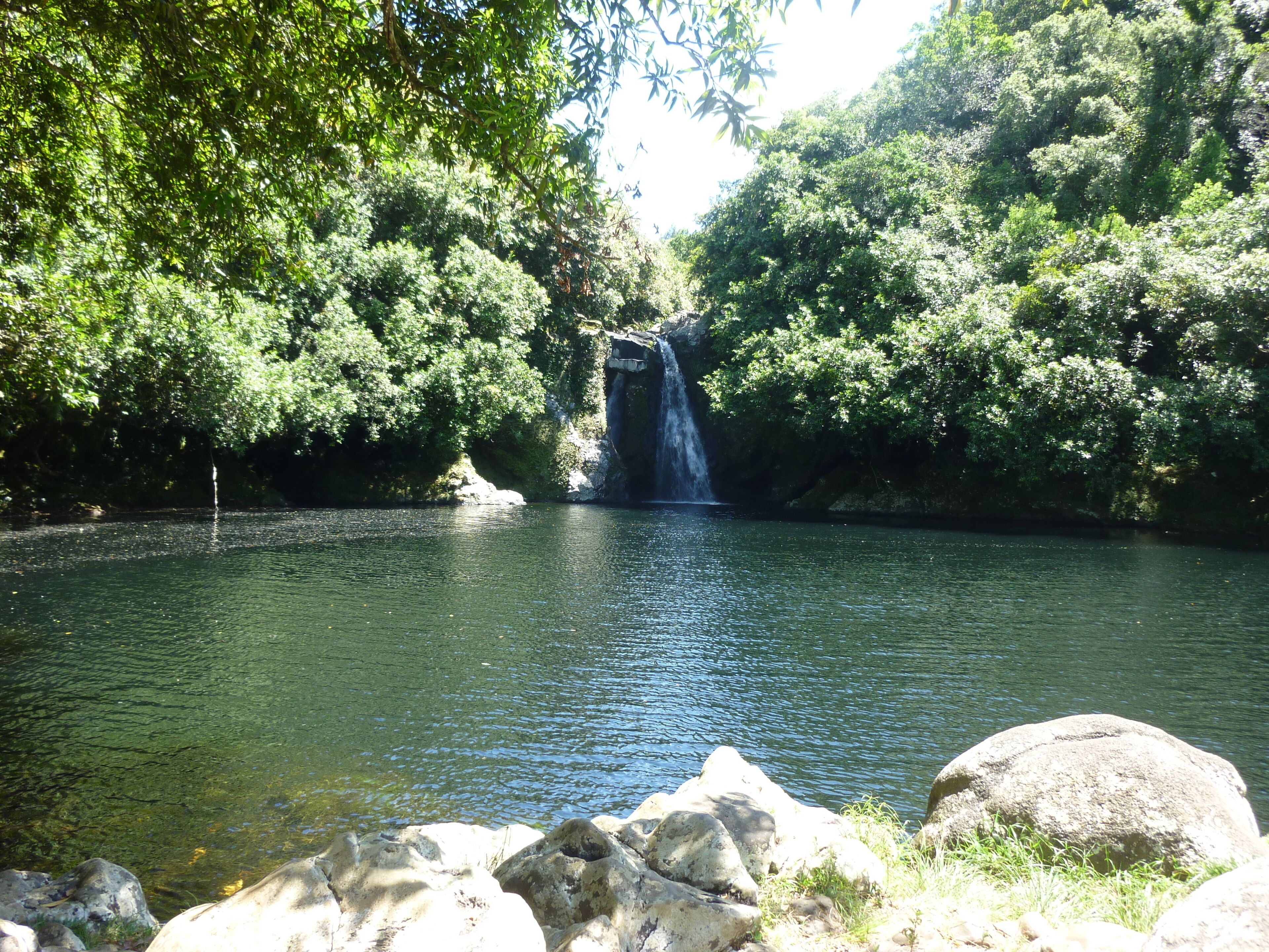 A waterfall in a forested area with a calm river.
