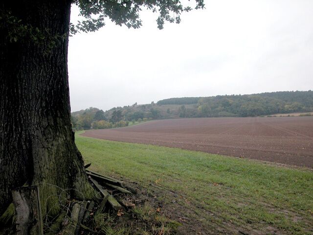 South of Haughmond Hill. Farmland looking north to the wooded slopes of Haughmond Hill. To the north of the hill are the remains of the Augustinian Haughmond Abbey.