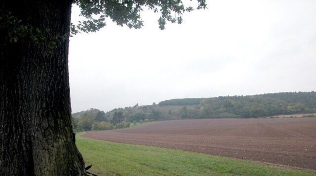 South of Haughmond Hill. Farmland looking north to the wooded slopes of Haughmond Hill. To the north of the hill are the remains of the Augustinian Haughmond Abbey.