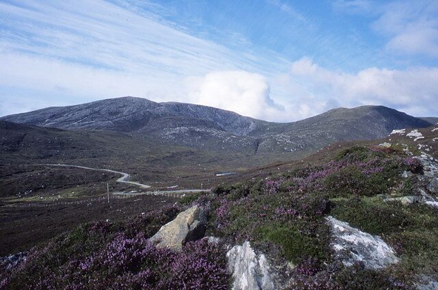 A mountainous landscape with a winding road and purple heather.