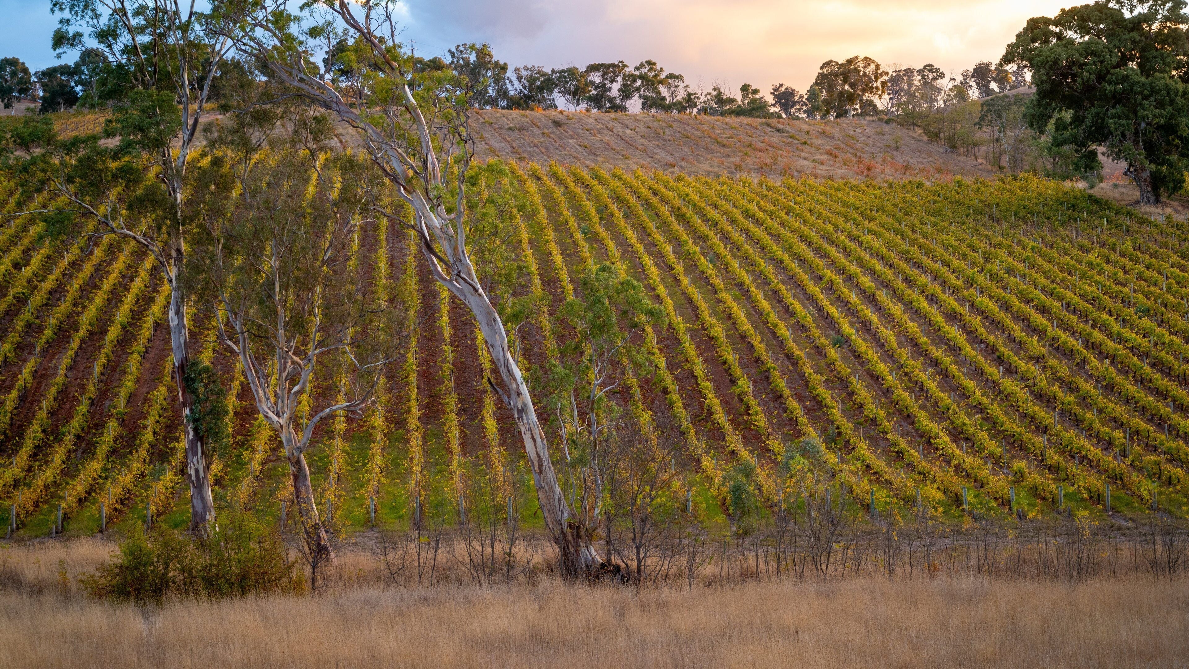 Gumeracha which includes farmland