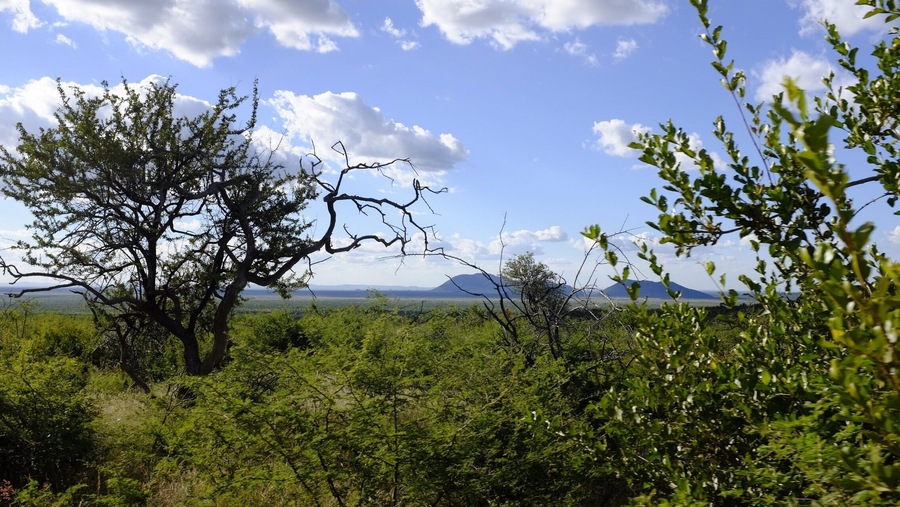 Africa at its best!