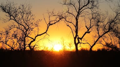 Beautiful South African sunrise. This was taken on our first safari of the day at Madikwe Game Reserve, from Tuningi Lodge. A trip of a lifetime!