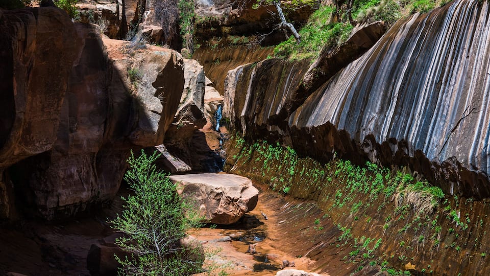 A canyon with a narrow stream, large boulders, and sparse vegetation.