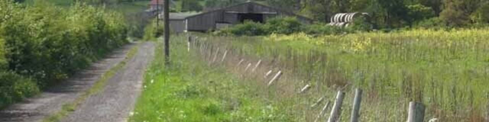 Laverick Hall Farm Off Norburn Lane leading up to Charlaw Hill.