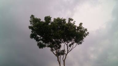 one tree hill....chitlang