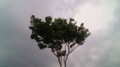 one tree hill....chitlang