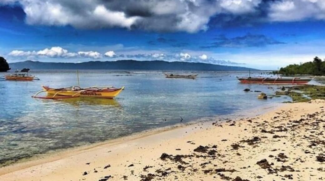 Heaven on earth
#Culture