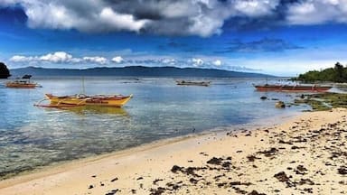 Heaven on earth
#Culture