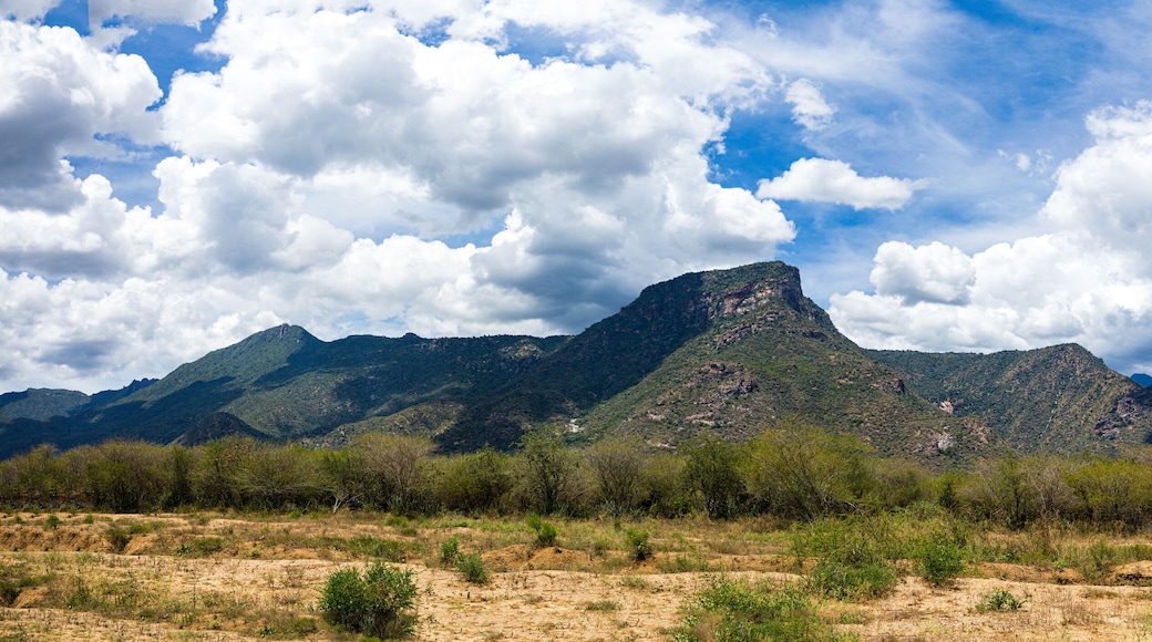 West Pokot County Kenya Town Kapenguria Kamatira Forest Mount Melo Mtelo Sekerr Range Landscapes
