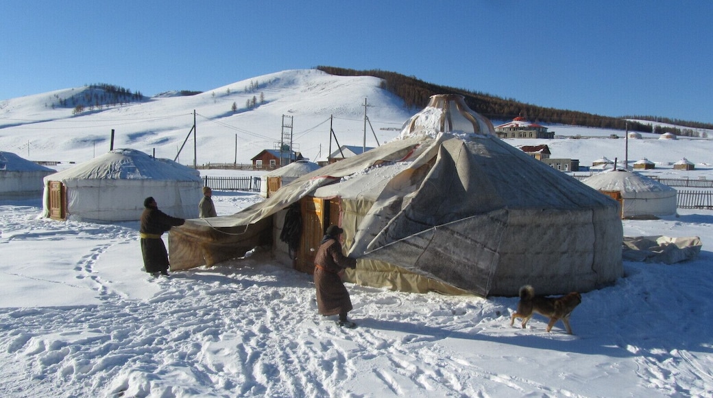 It was time to take down the gers for winter. It was fascinating to see how quickly the layers and the structure could be removed from the ger. We were on our Autumn break and had a deep fall of snow overnight.