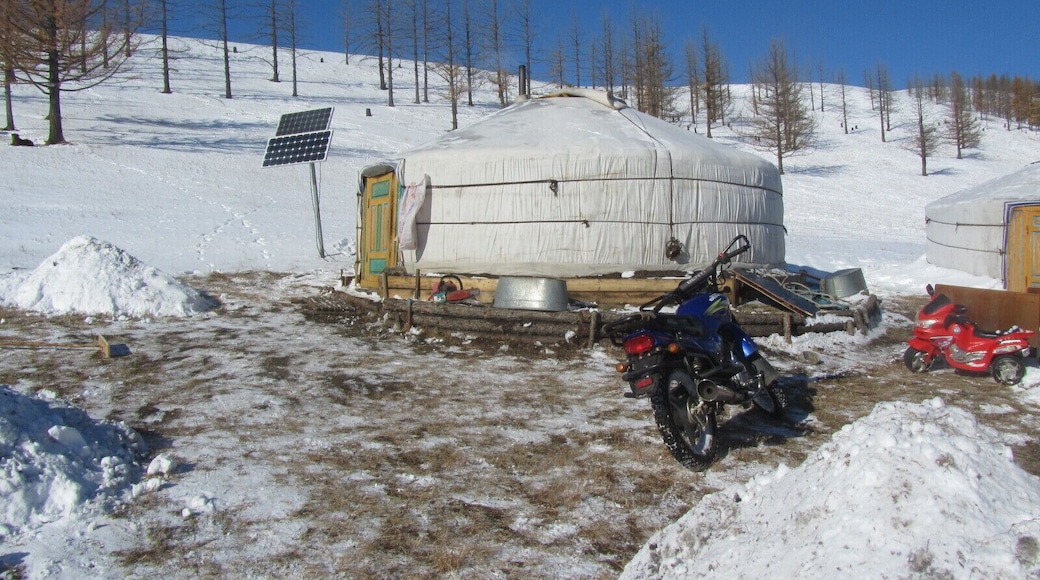 The typical ger site (this one in Arkhangia aimag) has about three gers of extended family; and some of the trappings of modern life such as solar panels and motorbikes. The door will always face south.