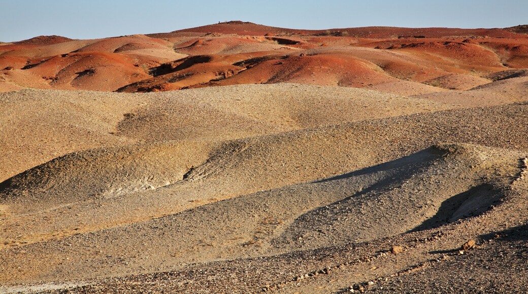 Gobi Desert near Sainshand. Mongolia