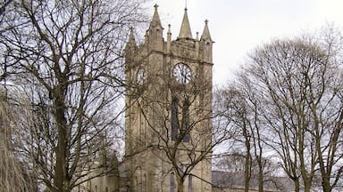 A historic church with a tall tower and arched windows, surrounded by trees and a well-maintained garden.