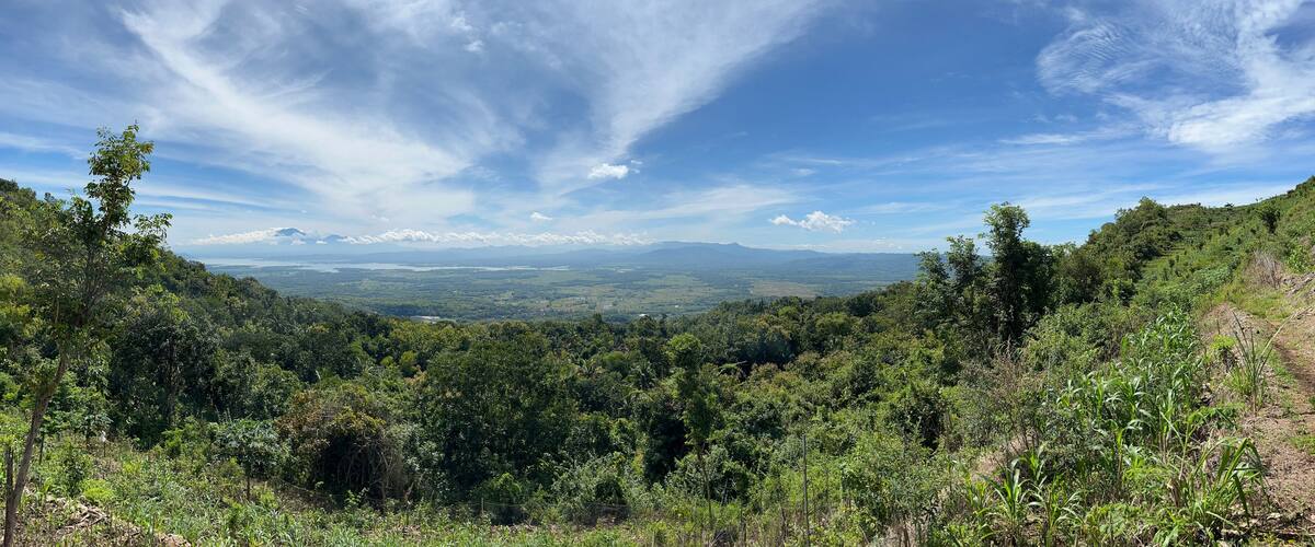 A mountainous landscape with dense greenery, a clear sky, and distant snow-capped mountains.