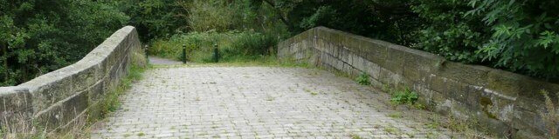 A paved pathway leading to a stone bridge surrounded by dense greenery.