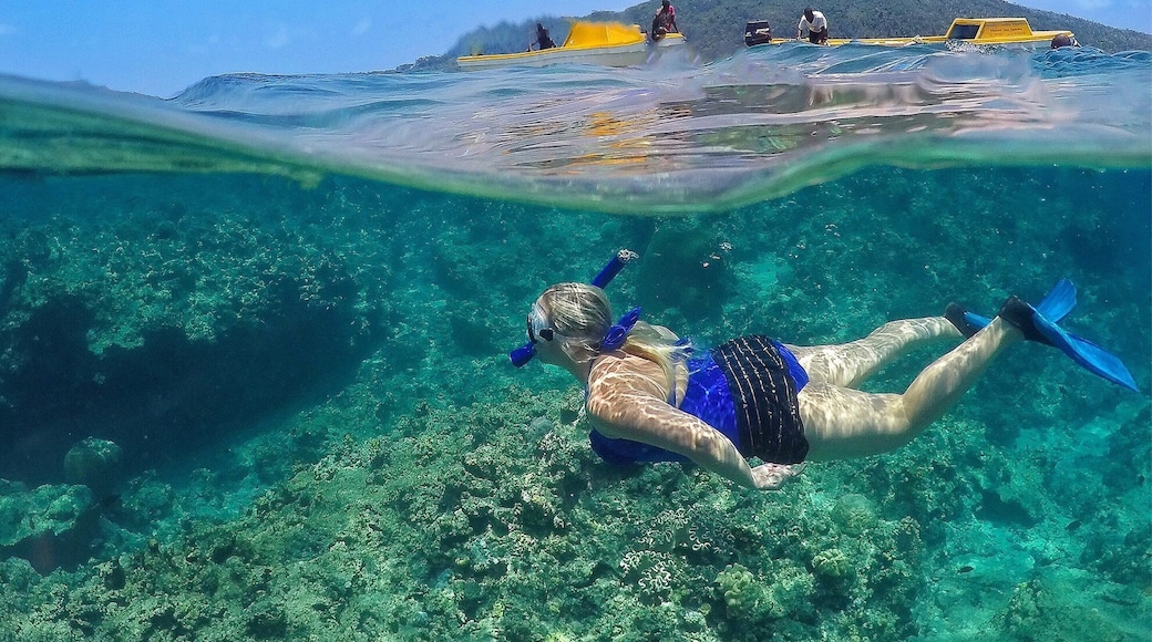 Stoked to have reached 50k followers on @instagram! Massive thanks to all of you for following our adventures, looking forward to a massive 2016 and meeting as many of you as possible at Instameets during the year! If you'd like to follow along on Instagram just go to:
www.instagram.com/_markfitz
Cheers! ☀️🐠🌴🍻🎉😀
#communityfirst #instagram #GoProANZ #kapitolreef