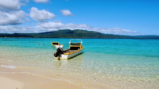 You'll think you've found paradise on the coral sand shores of Vanuatu's Pele Island. In a little under two hours, you can leave the hustle and bustle of Vanuatu's capital city of Port Vila and find yourself on these beaches. Just take a share bus to Emua wharf, and ask one of the many banana boats lining the dock to take you to Pele.
Oh yeah, and did I mention that there's also excellent snorkeling under these calm turquoise waves?
#beach #island #islandparadise #vanuatu #southpacific #paradise