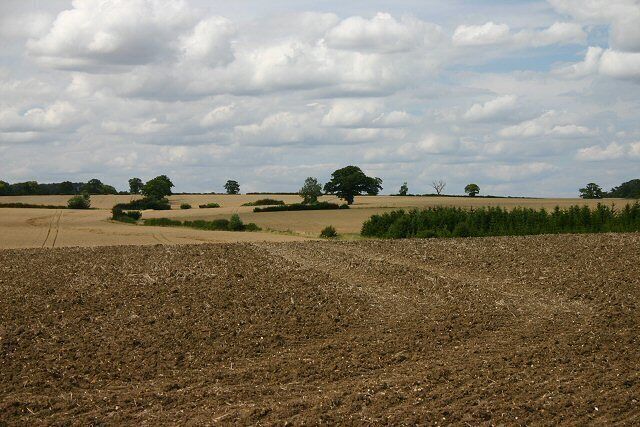 Farmland near Steeple Bumpstead Looking northwards from the minor road linking Steeple Bumpstead and Sturmer.