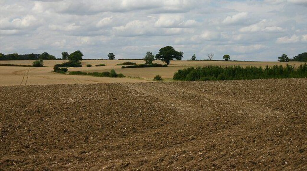 Farmland near Steeple Bumpstead Looking northwards from the minor road linking Steeple Bumpstead and Sturmer.