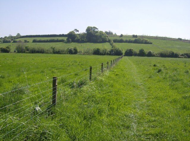 Pasture in the Frome valley Looking east from near the footbridge over the River Frome. The Macmillan Way footpath is shown on the map as heading diagonally left at this point. However, it has been diverted (seemingly for some time) straight up the hill and onto another path by the third line of trees.