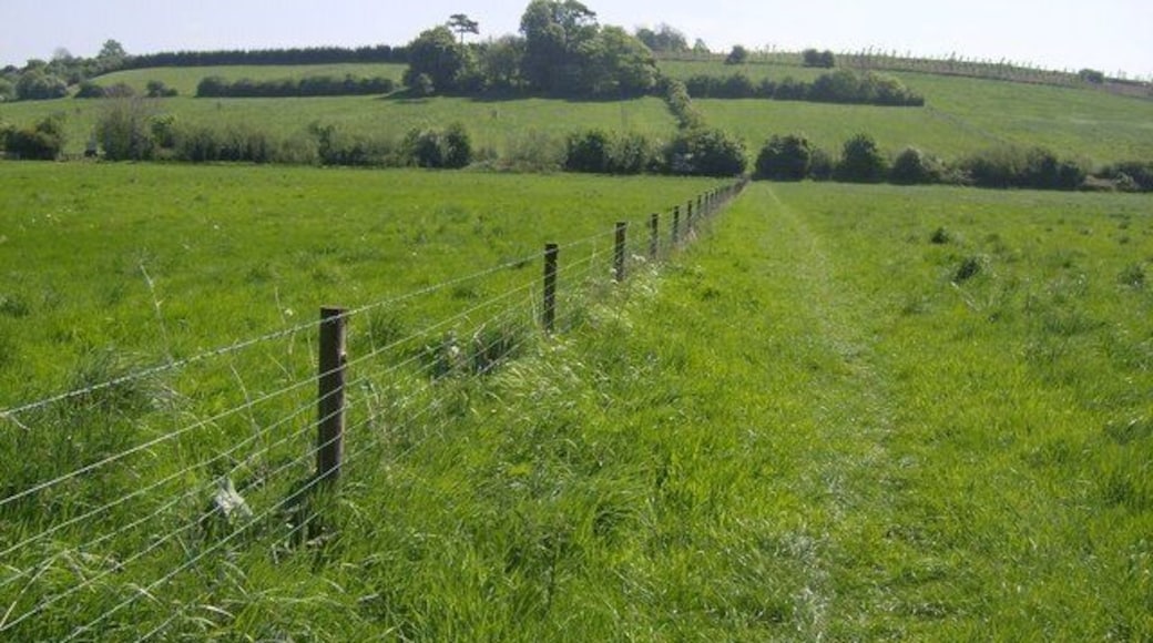 Pasture in the Frome valley Looking east from near the footbridge over the River Frome. The Macmillan Way footpath is shown on the map as heading diagonally left at this point. However, it has been diverted (seemingly for some time) straight up the hill and onto another path by the third line of trees.