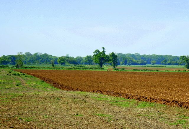 Ploughed field near Lullington Probably intended for maize, middle of May is late for anything else.