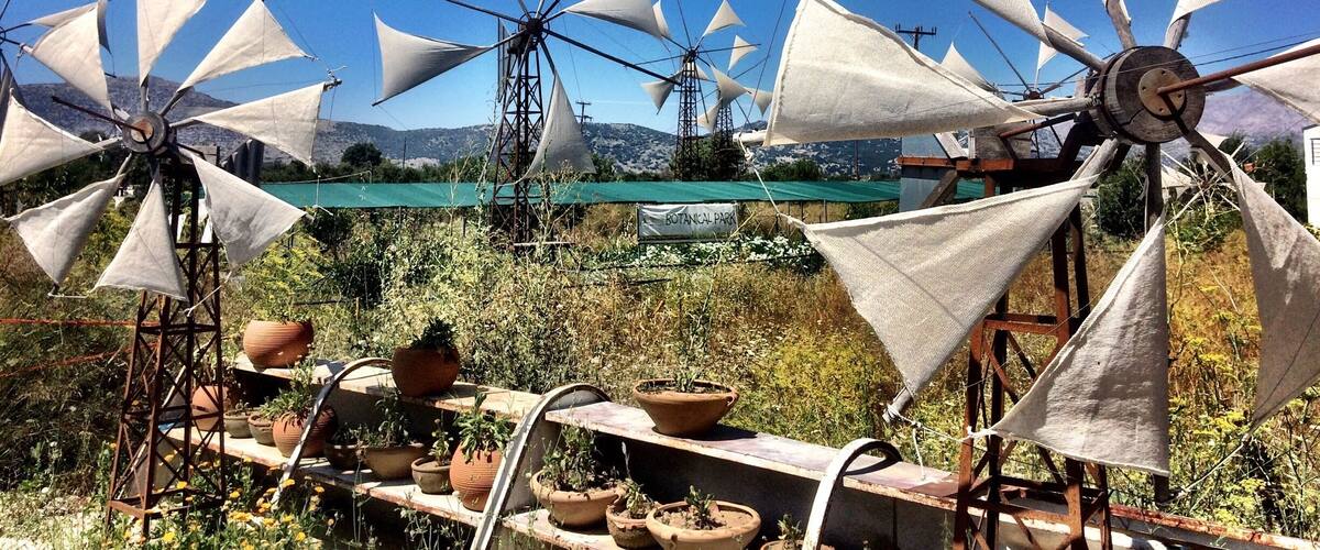 Windmills and potted plants in a garden.