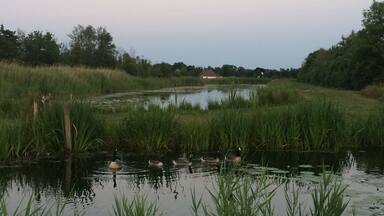 Camp at the Reidplûm in Eernewoude