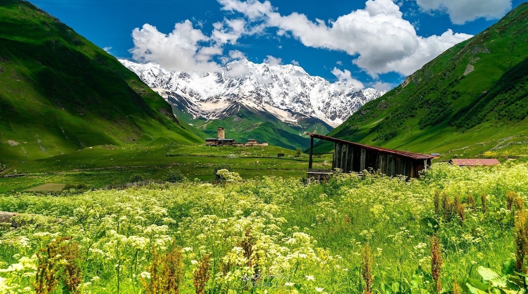 Caucasus Mountains II Ushguli Georgia - ๐ฌ๐ช